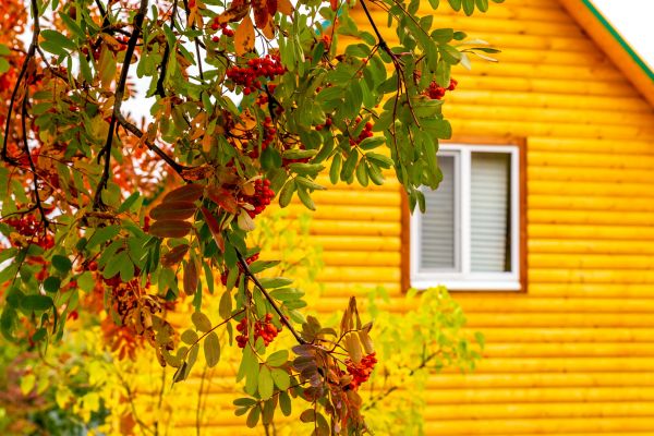Garden Window Replacement in Sachse